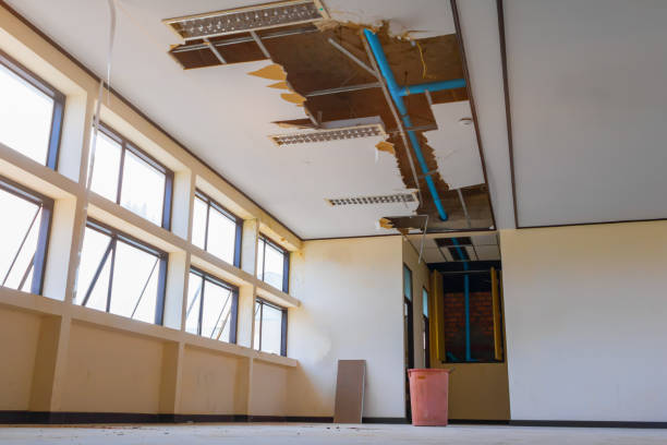 Best Flood damage cleanup  in Shinglehouse, PA