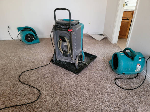 Best Emergency water damage restoration  in Shinglehouse, PA