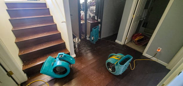 Best Carpet water damage restoration  in Shinglehouse, PA