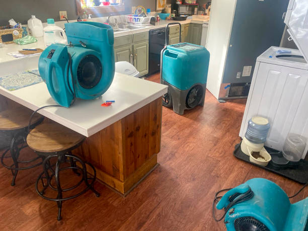 Best Sewage cleanup and water damage restoration  in Shinglehouse, PA