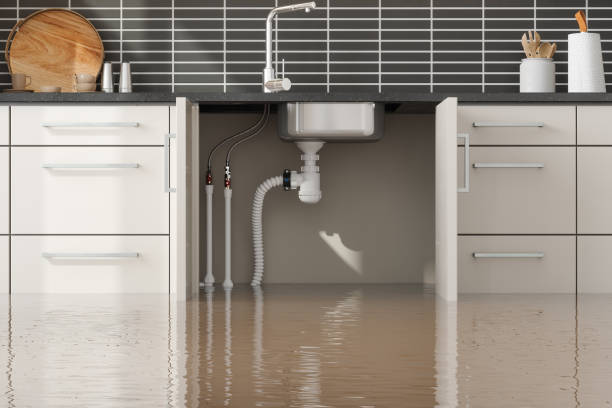 Best Water damage restoration services  in Shinglehouse, PA