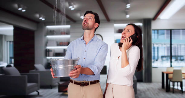 Best Water damage cleanup near me  in Shinglehouse, PA