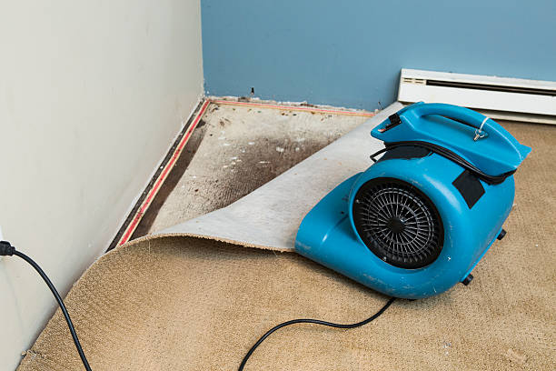 Best Flooded house restoration  in Shinglehouse, PA